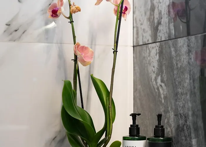 Apartmanhotel Frunze Luxury