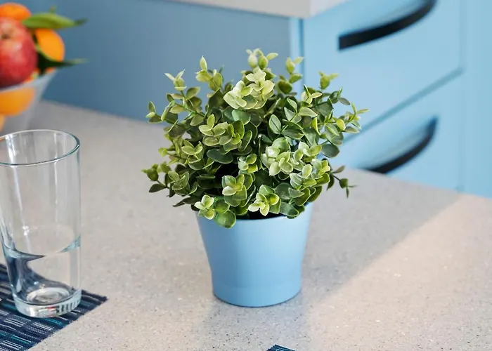 Frunze Luxury Apartmanhotel Návplio